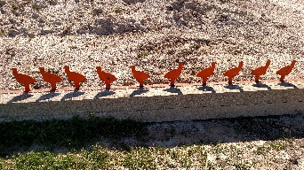 chicken bank